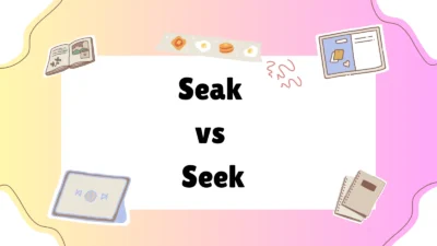 Seak vs Seek