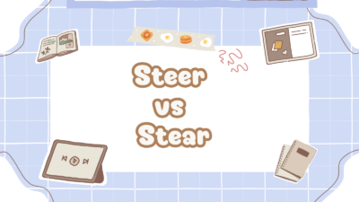Steer vs Stear
